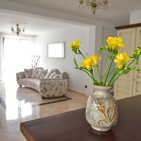 Apartmán San Grecu House Făgăraş Exteriér fotografie